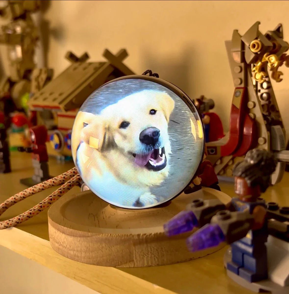 Cápsula de Recuerdos - Lourve Collection - Lourve Collection - Cápsula de Recuerdos