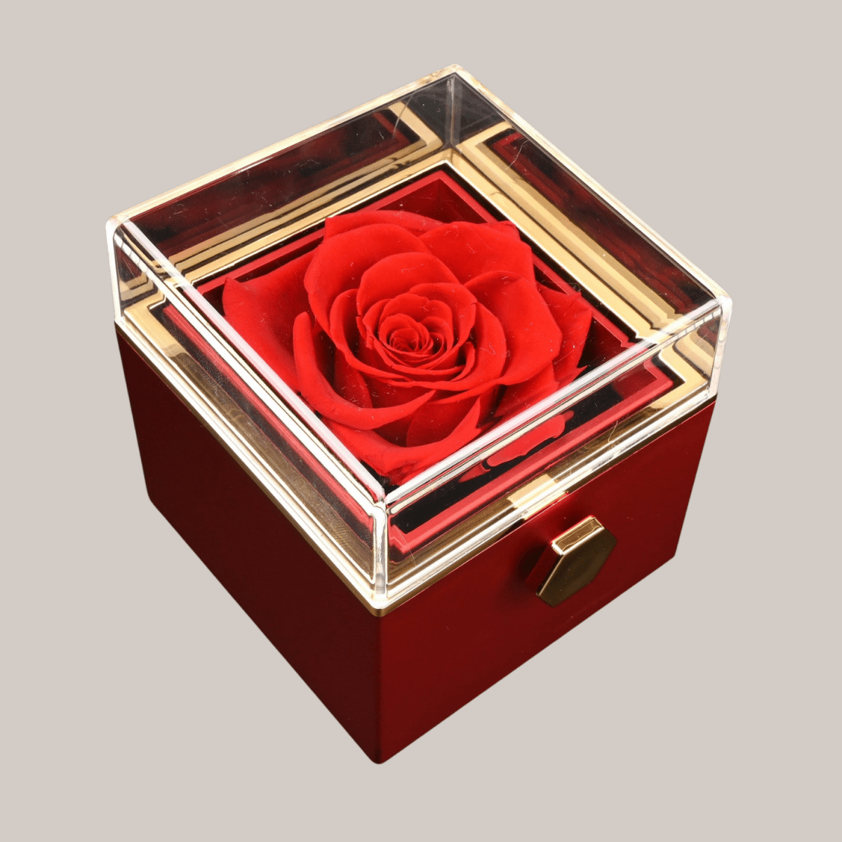 Set Eterno y Collar Personalizado - Lourve Collection - Lourve Collection - Set Eterno y Collar Personalizado