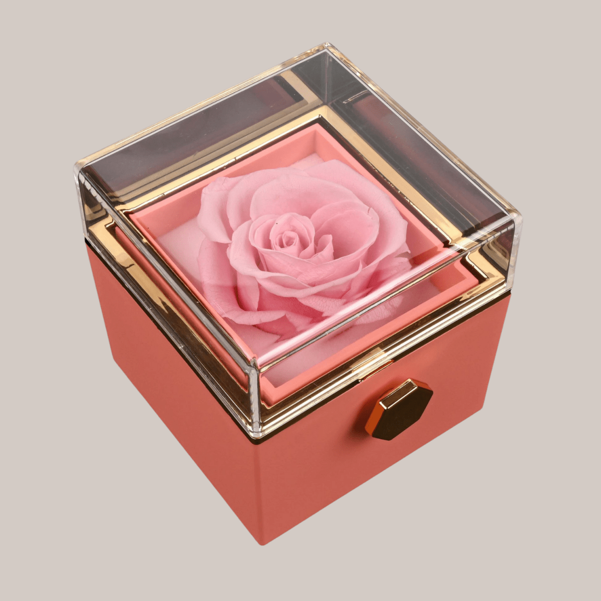 Set Eterno y Collar Personalizado - Lourve Collection - Lourve Collection - Set Eterno y Collar Personalizado
