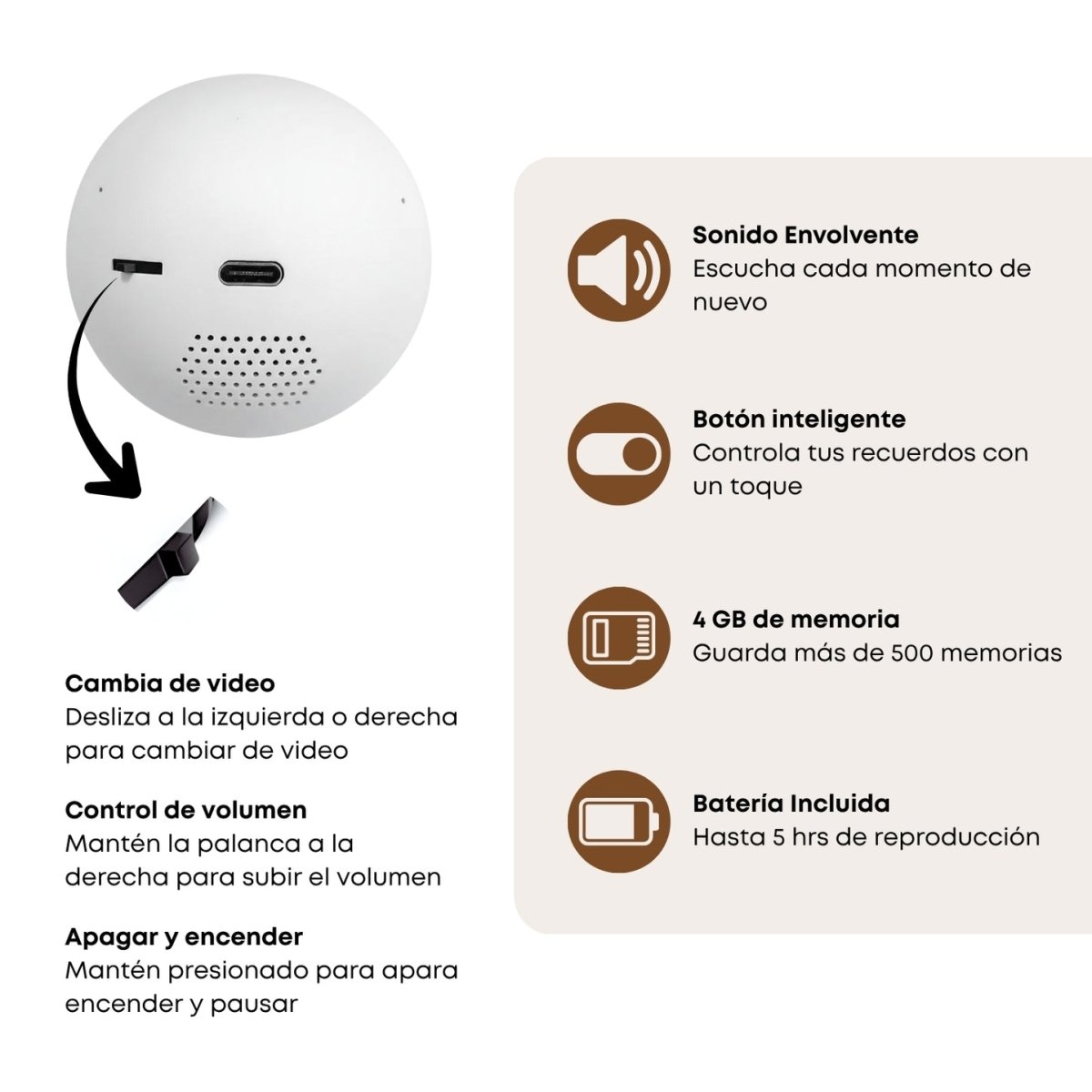 Cápsula de Recuerdos - Lourve Collection - Lourve Collection - Cápsula de Recuerdos